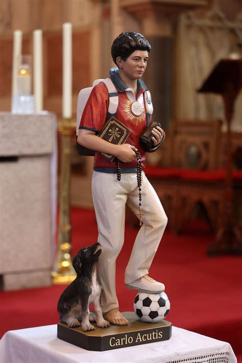 pictures relic  blessed carlo acutis  st pauls  west belfast