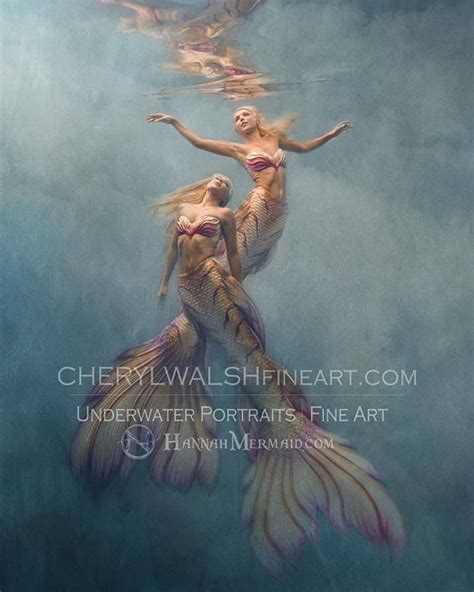 Photography And Art By Cheryl Walsh For Cheryl Walsh Fine Art