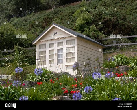 Poole Dorset Flowers Hi Res Stock Photography And Images Alamy