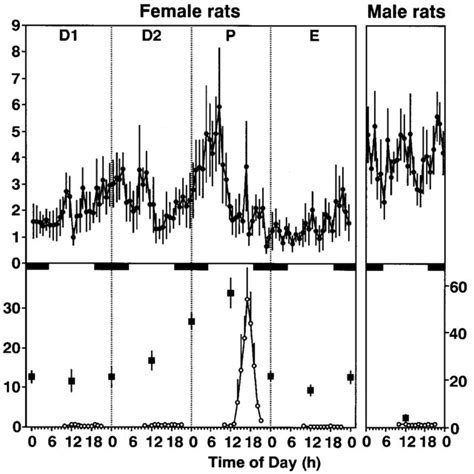 Sexual Dimorphism In The Peak Time Upper And Acrophase Lower Of The