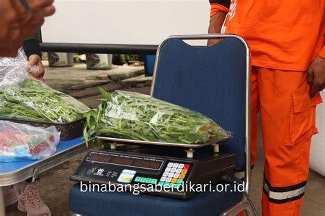 Ybbb Budikdamber Lanjutan Smf Bina Bangsa Berdikari Foundation