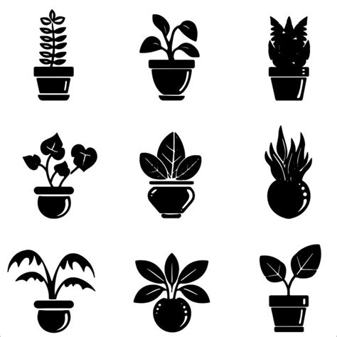 Premium Vector Potted Plant Black And White Silhouette Vector Collection