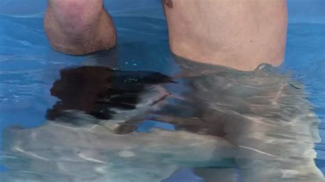 Poolside Fuck With Hot Guys Eager For Cock Gay Bareback Porn Xhamster