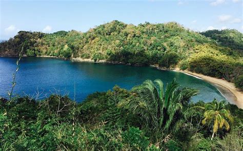 THE 15 BEST Things to Do in Tobago - 2021 (with Photos) - Tripadvisor