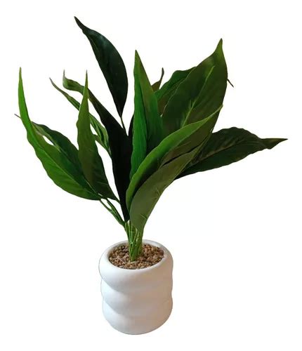 Planta Artificial Tipo Espatifilio Con Maceta Deco Env O Gratis