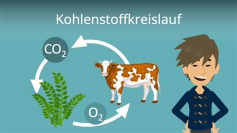 Kohlenstoffdioxid einfach erklärt Eigenschaften Nachweis mit Video