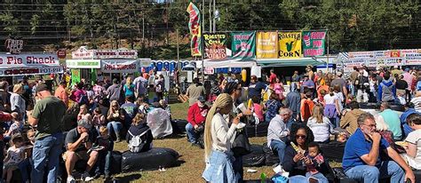 Georgia Apple Festival Fruit Festival In Ellijay Where What When