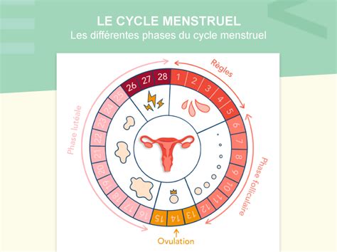 Le Cycle Menstruel Cemag Care