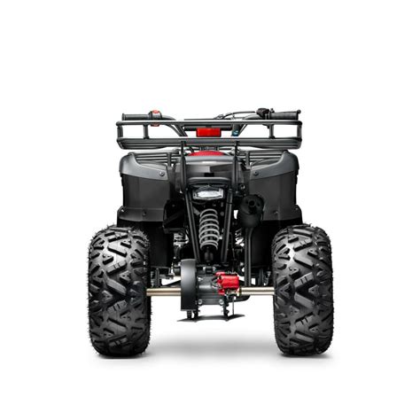 Gas 125cc Atv Quad Wheeler Four Wheelers With Off Road