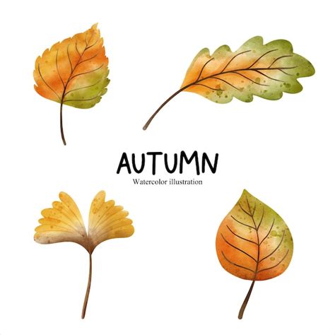 Aquarell Herbstblatt Herbstsaison Vektor Illustration Premium Vektor