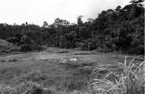 Exploitation De Ressources Naturelles Et Risques Environnementaux à La Périphérie De Libreville