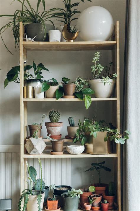 5 Ideas To Display Indoor Plants Artofit