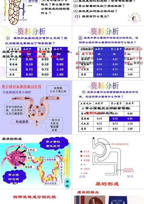 新人教版第五章人体内废物的排出教学课件ppt卡卡办公