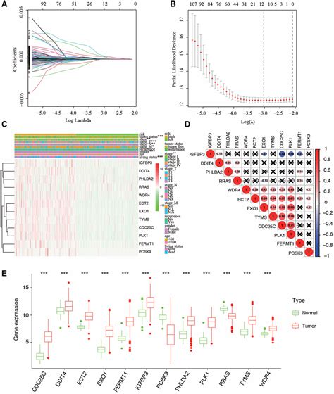 Construction And Validation Of A Hypoxia Related Risk Signature