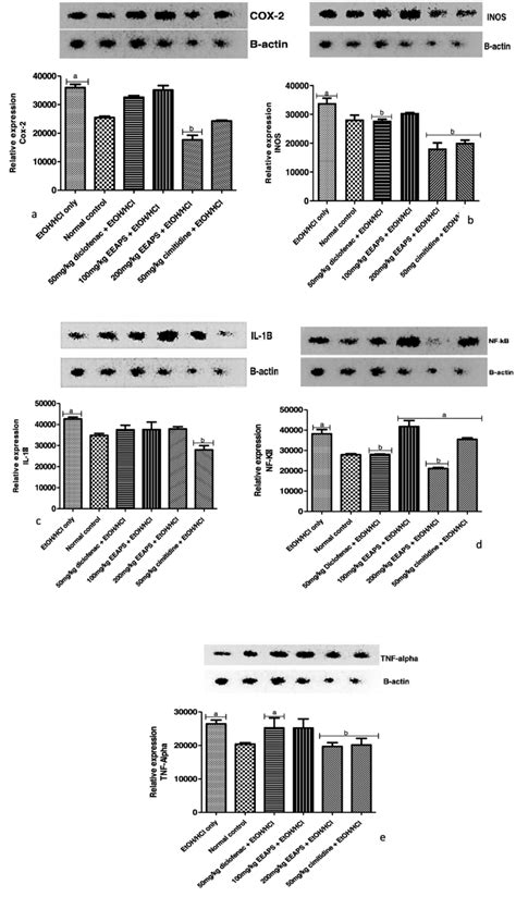 A E Mrna Expression Of Cox 2 Inos Il 1β Nf Kb And Tnf α In The