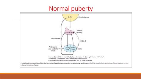 Delayed Puberty Etiology Diagnostic Approach Ppt