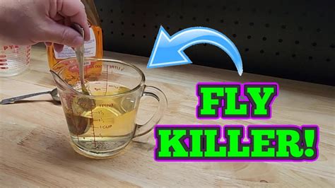 How To Diy Your Own Home Made Fly Trap Solution Youtube