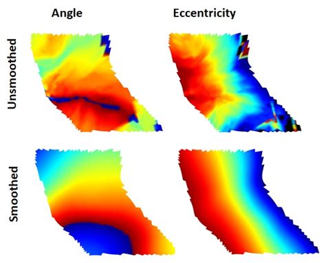 Github Negarjmbeltrami Coefficient Map