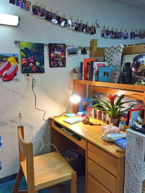 The Ultimate College Dorm Guide