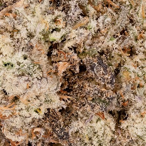 Lucky Farms Jet Fuel Gco