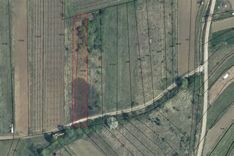 Sale Land Agricultural Coast And Karst Koper Kubed 798 M2