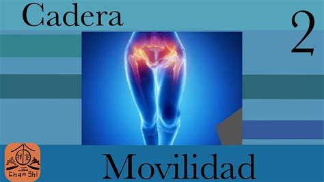 Movilidad De Cadera Hombros Codos Y Mu Ecas Youtube