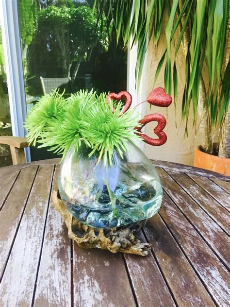 Molten Glass On Driftwood Arrangement Super Fast Shipping Air Etsy Air Plant Terrarium