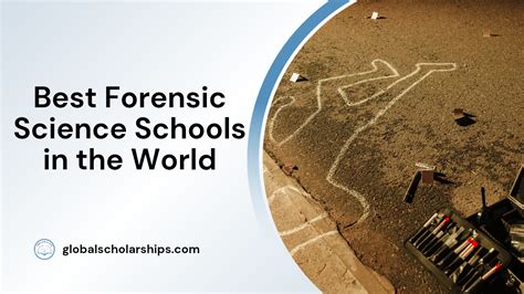 7 Best Forensic Science Schools In The World Global Scholarships