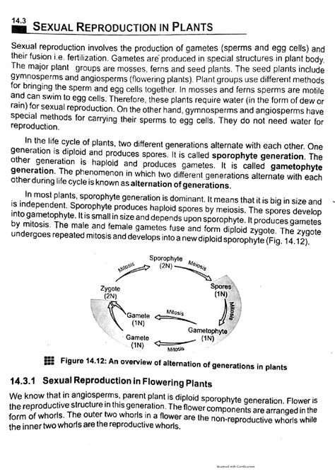 Solution Sexual Reproduction In Plants Studypool