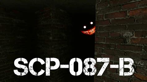 Scp 087 D