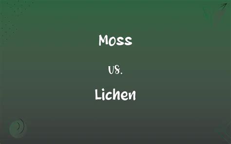 Moss Vs Lichen Whats The Difference