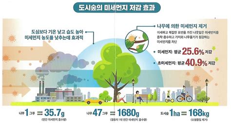 정보 도시 숲🌳의 미세먼지 저감효과에 대해서 알려드려요~ 덕평공룡수목원