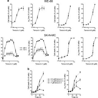 Role Of Gene Expression In Tenovin 1 Induced Cytotoxicity In SK N MC