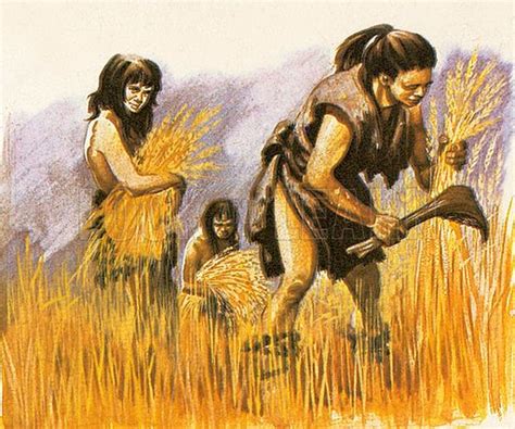 Neolithic Farming
