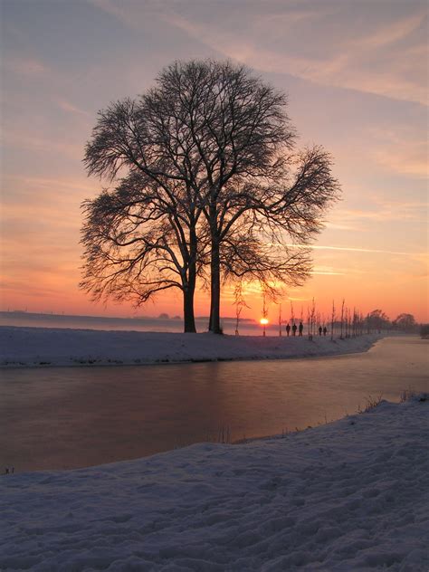 Free Images Landscape Tree Horizon Snow Winter Cloud Sky Sun