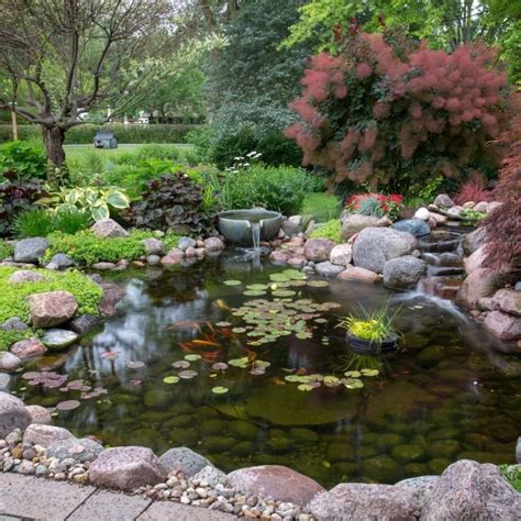 Routine Koi Pond Maintenance Tips Guide By River Rock Water