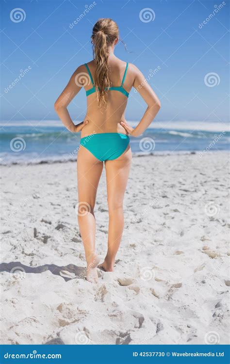 Rear View Of Fit Woman In Bikini Standing On Beach Stock Photo Image