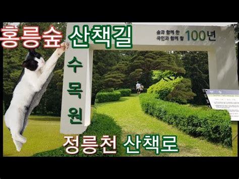 홍릉숲 홍릉수목원 정릉천산책로 국립산림과학원 홍릉수목원 홍릉 과 정릉천 산책로를 다녀왔습니다 YouTube