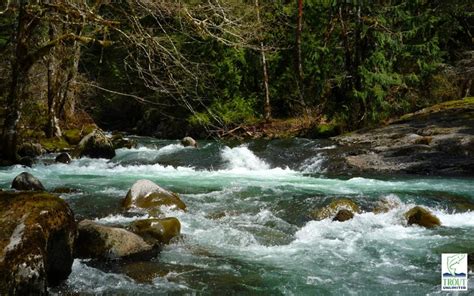 Clackamas River Tu Water Favorite Places Outdoor