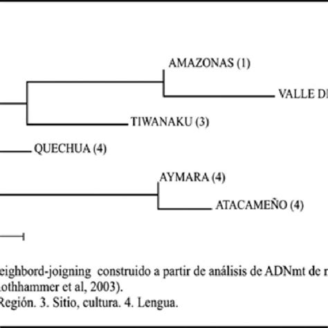 Dendrograma Neighbor Joining Tomado De Rothhammer Et Al 2003 273