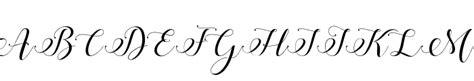 Stylish Calligraphy Font Script Decorative What Font Is