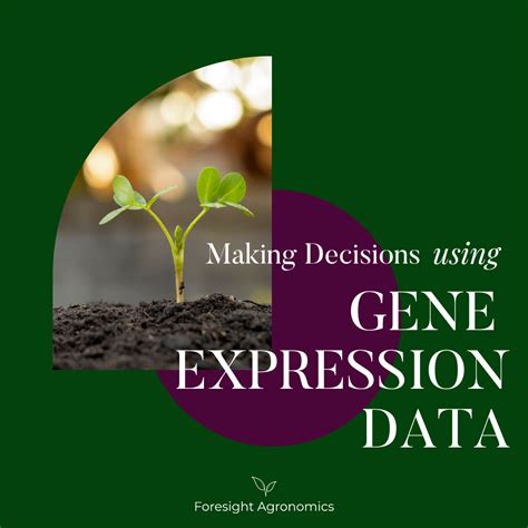 Blog — Foresight Agronomics 