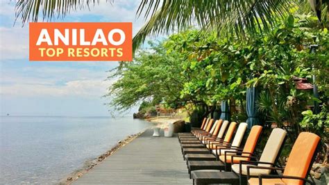 Top Anilao Beach Resorts Philippine Beach Guide