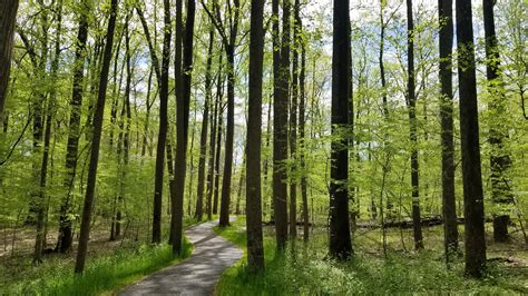 The Bike Trails in Columbia can be amazing : r/ColumbiaMD