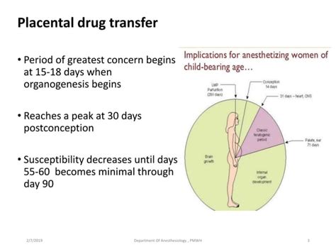 Pharmacological Agents In Obs And Placental Transfer Of Drugs PPT