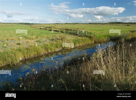 St Aidans Nature Reserve Hi Res Stock Photography And Images Alamy