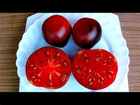 Blue Pear. Томат, Синяя груша - YouTube