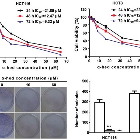 α Hederin Inhibits Colorectal Cancer Cell Proliferation A α Hederin