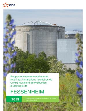 Remplissable En Ligne Rapport Environnemental Annuel Relatif Aux