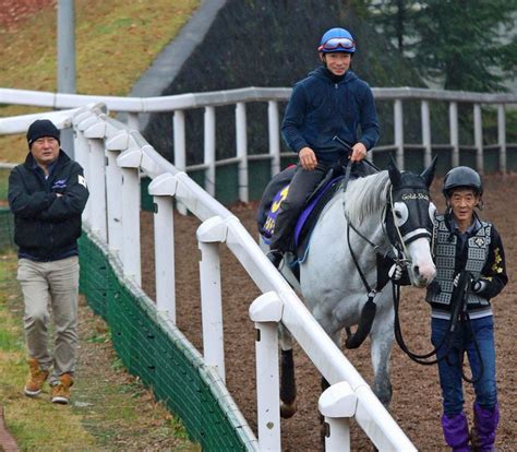 新極ウマ・プレミアム日刊スポーツ Riding Helmets Horses Horse Love